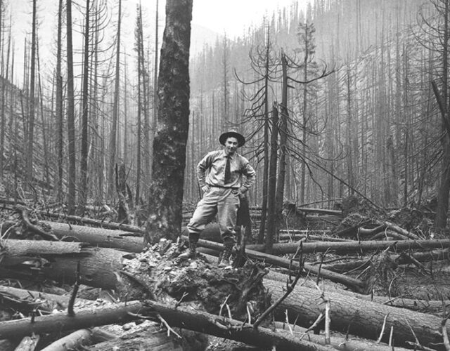 Black and white photograph of a man wearing a tie standing in a forest, surrounded by burnt logs.