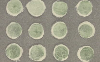 Detail of an illustrated plate depicting sediment (chiefly algae) from tap water collected on cotton disks in Cambridge, Massachusetts during the autumn of 1913.