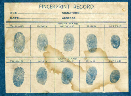 chart of fingerprints
